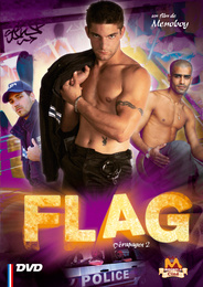 DVD Flag
