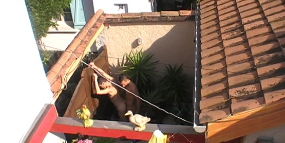 Les minets les plus mignons sont à Bordeaux