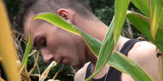 Il se tape l'agriculteur du champ de Mais