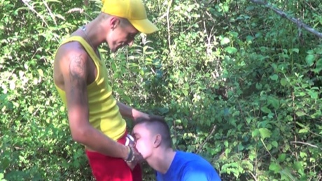 Bon plan sniff extérieur pour Niko Rekins