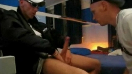 Batard à molarder et insulter