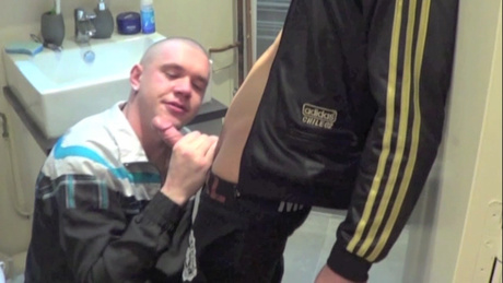 Dog Ryan soumis aux skets de Kader Jawell